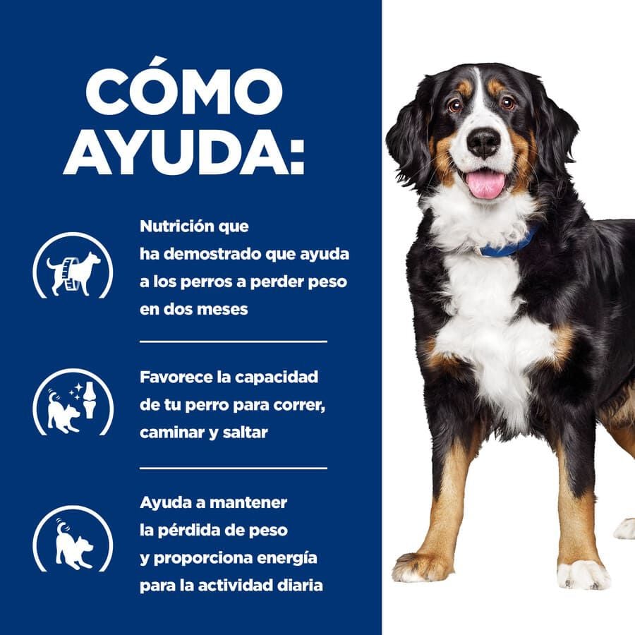 370 g Hill's Prescription Diet Canine j/d Metabolic + Mobility lata para perros, , large indicador imagen numero 4